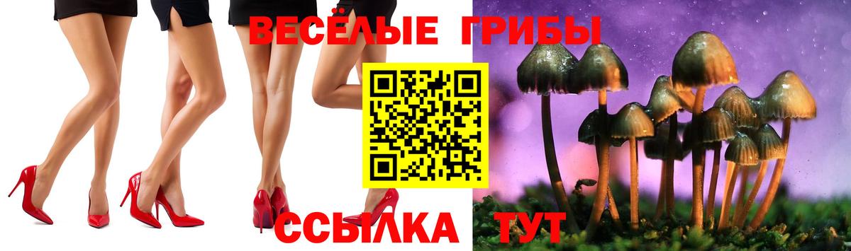 купить  цена  Псилоцибиновые грибы ЛСД  Вход с VPN  Тара  Галлюциногенные грибы ЛСД 